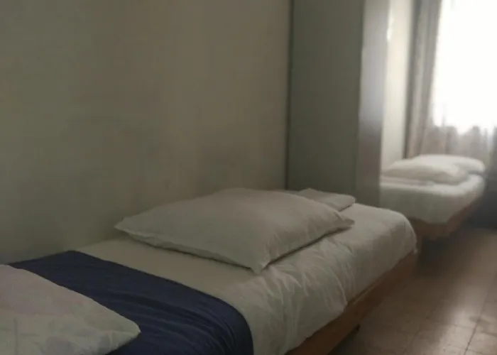 Momo'S Hostel Tel Aviv che accetta animali